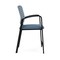 Lesro Newport Hip Chair Metal Frame, Black, RS Rain Song Back, MD Titan Seat NP1161 - alternate 2